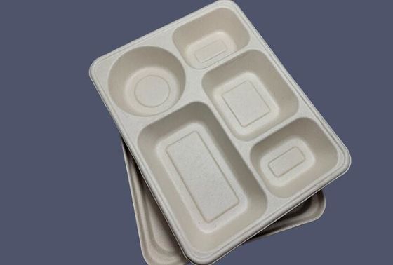 Lancheira descartável de 5 grades com tampa, trigo Straw Biodegradable Lunch Box