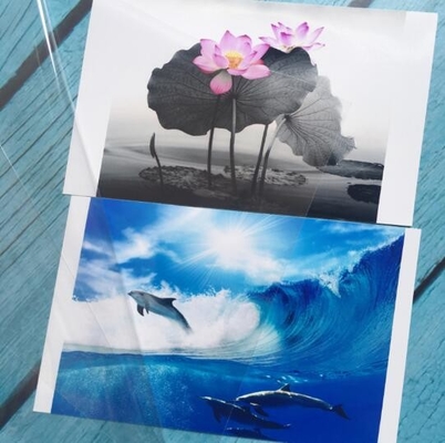 3D Cat Eye Film Photo Cold Laminated Film, Transparente Tri-dimensional Home Decoration Film