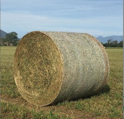 Redes de embalagem de grama de alta qualidade de plástico HDPE