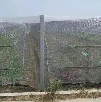Boa rede de proteção contra insetos e aves à prova de granizo Rede branca anti-abelha Rede para proteção de árvores