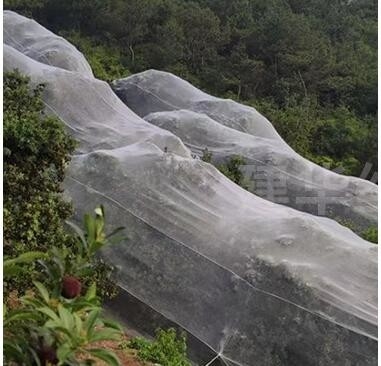 Rede verde personalizada de proteção contra insetos para árvores frutíferas