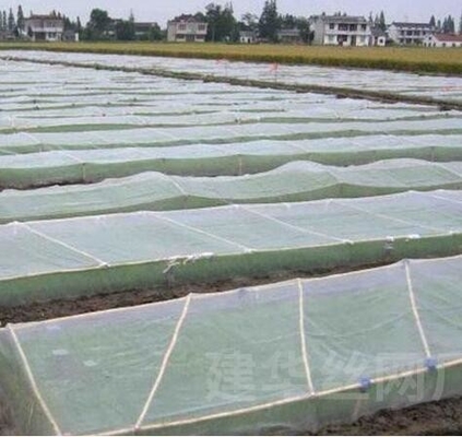Rede verde personalizada de proteção contra insetos para árvores frutíferas