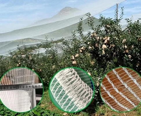 100% PE Branco de Cor Transparente Serra Anti-Insecto Rede para Plantas e Uvas