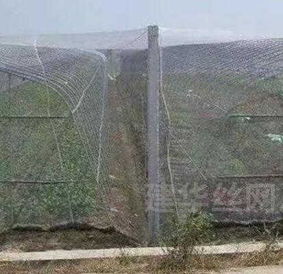 40 50 60 Malha 125 g Agricultura Estufas Rede Antinsecto Com Impressão Aceitável