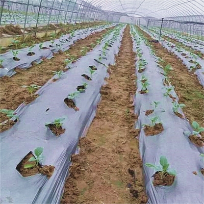 Agropecuária Filtro de mulch para ervas daninhas Restaurar a temperatura do solo e a retenção de umidade V6